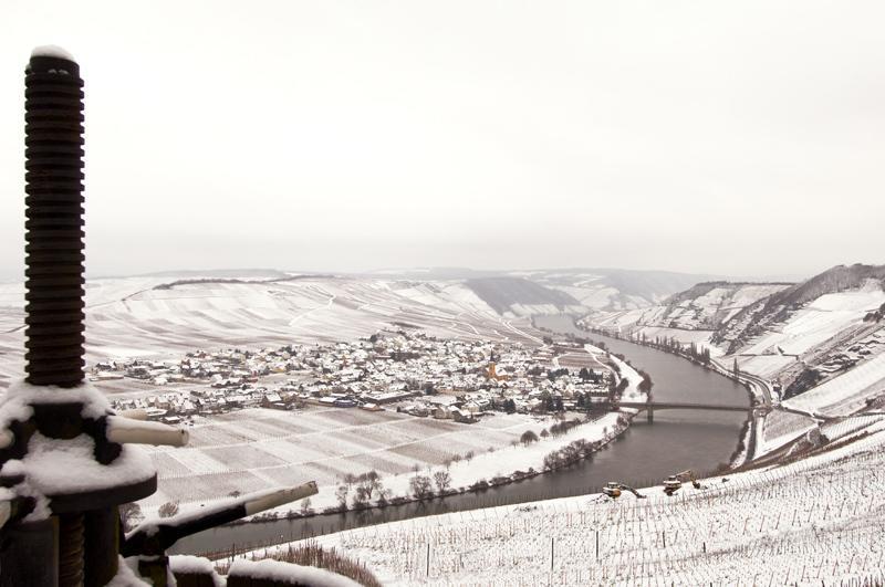 Weingut & Gaestehaus Edwin Hoffmann Trittenheim Εξωτερικό φωτογραφία