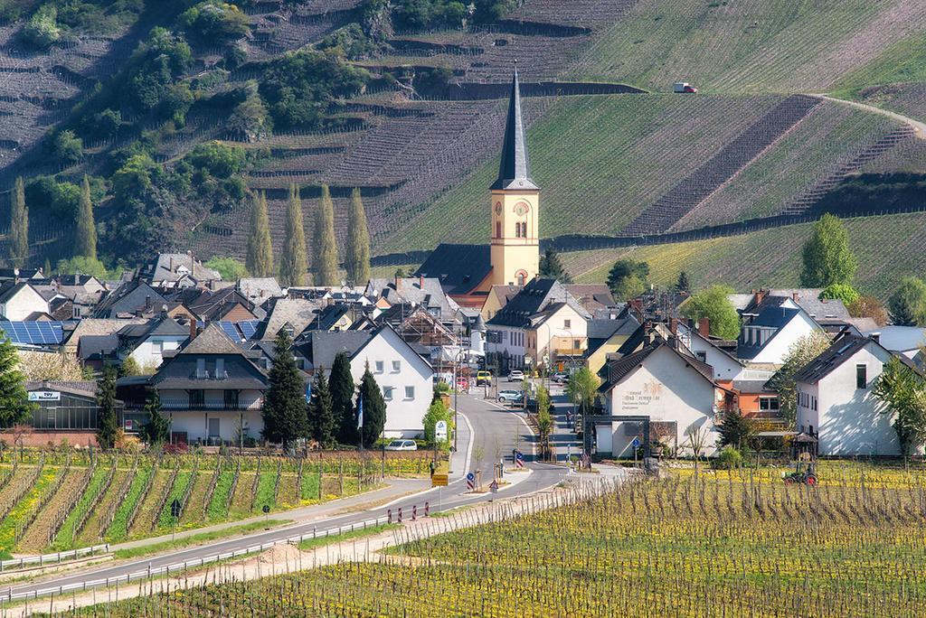 Weingut & Gaestehaus Edwin Hoffmann Trittenheim Εξωτερικό φωτογραφία