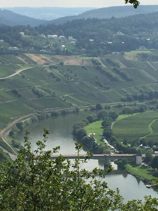 Weingut & Gaestehaus Edwin Hoffmann Trittenheim Εξωτερικό φωτογραφία